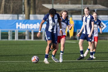 Bild 373 - wBJ Hamburger SV - Hertha BSC : Ergebnis: 2:1
